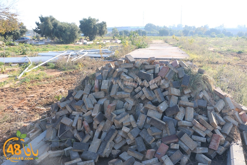 hadm tasoo3s (10).JPG